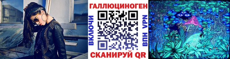 Галлюциногенные грибы Cubensis  Ладушкин 